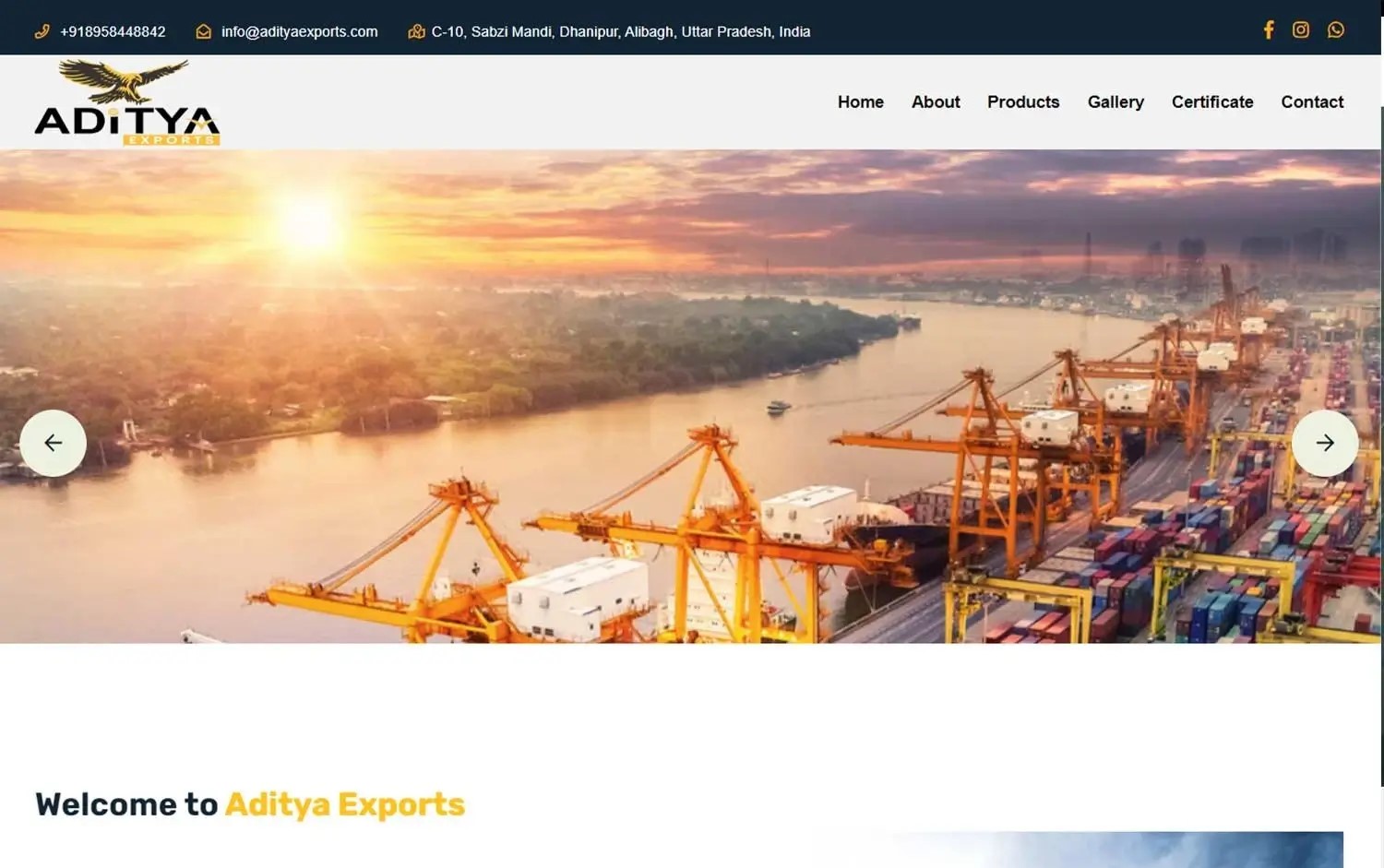 Aditya Exports Website