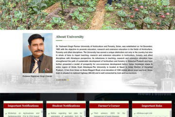 YSP UNIVERSITY Website